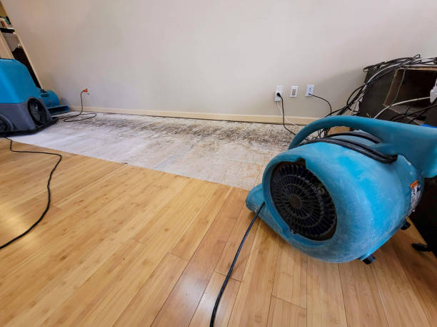Professional Flood Damage Cleanup technician working in Arnold, MO